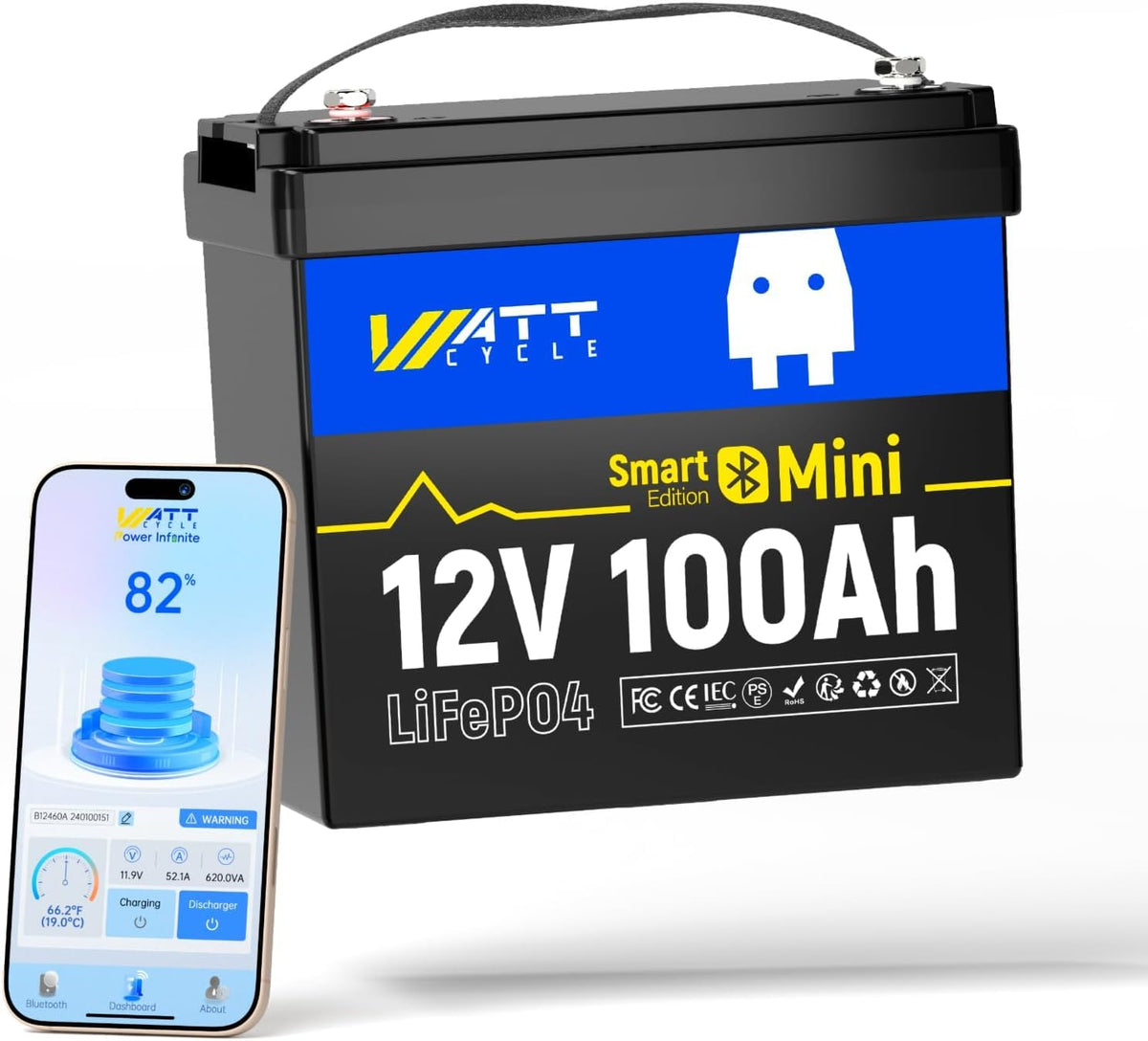 12V 100Ah Mini LiFePO4 Battery Group 24 J108281