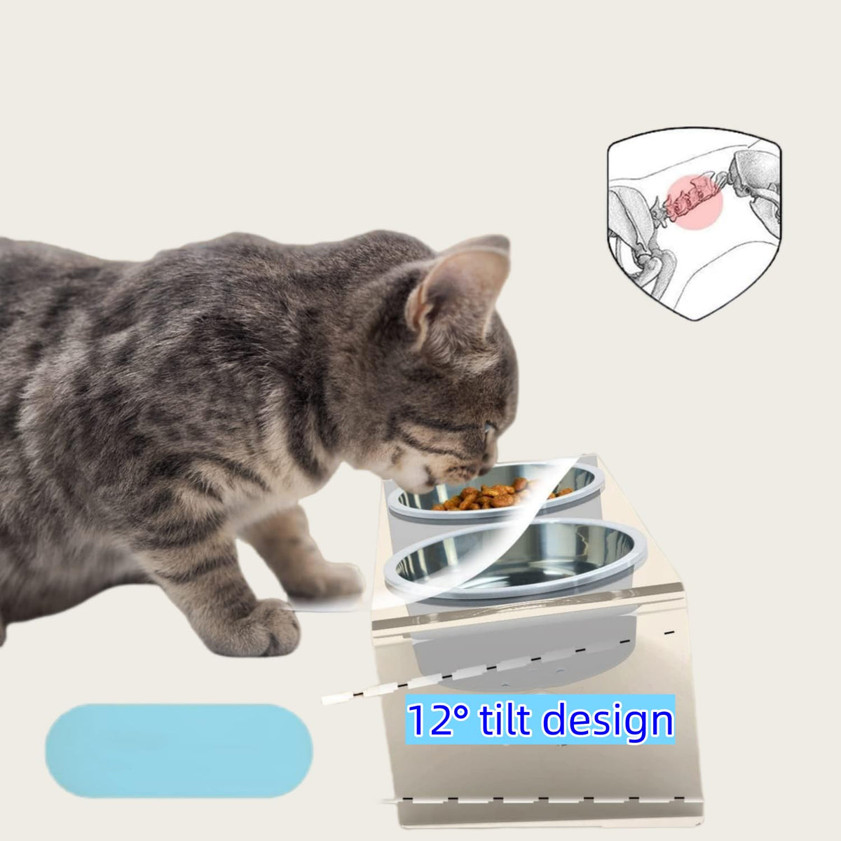 Elevated Cat & Dog Bowls Stand with 2 Stainless Steel Dishes T842040