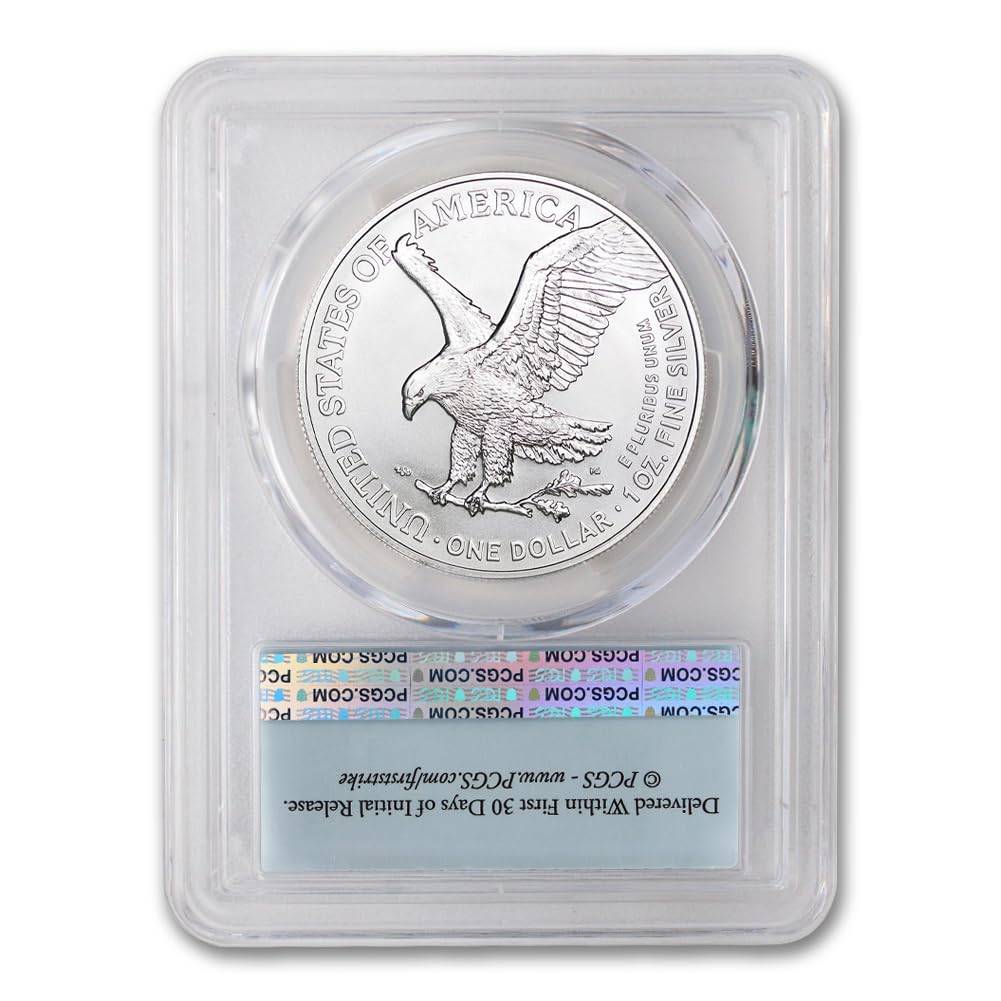 1 oz American Silver Eagle Coin MS-70 P2534