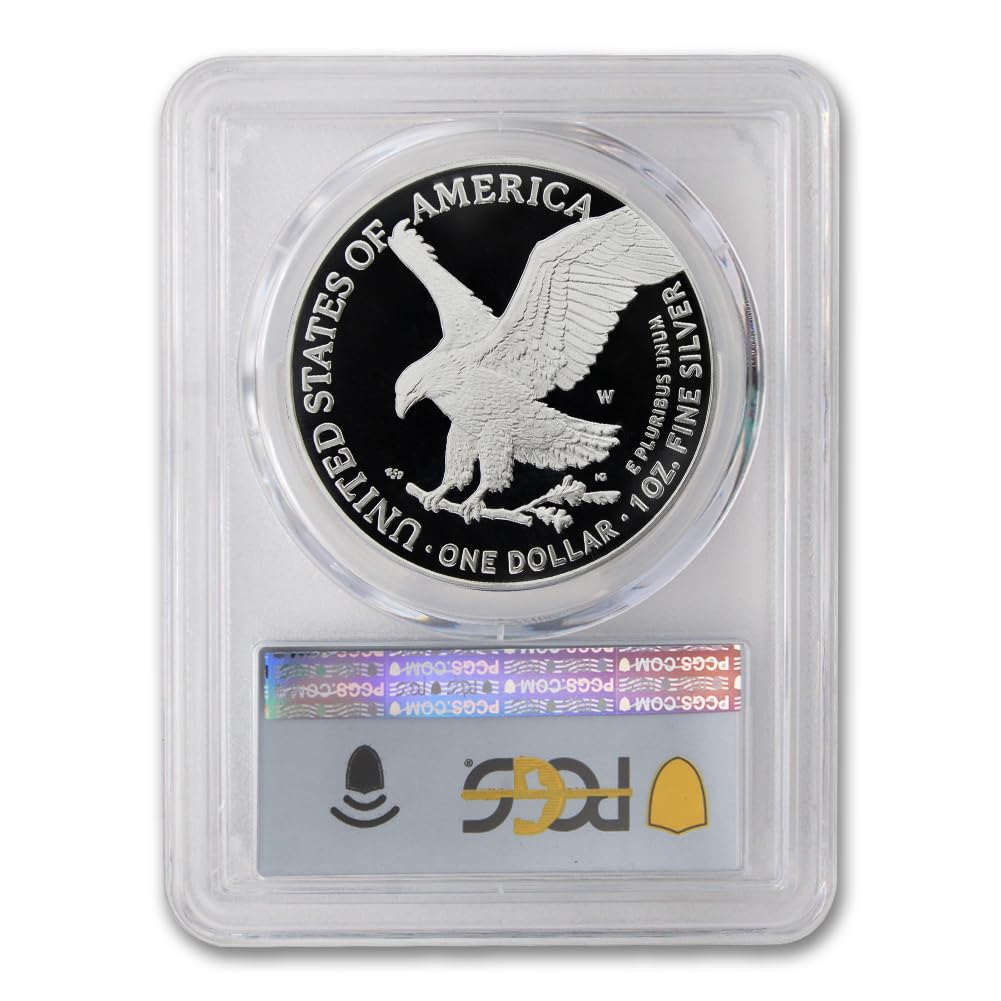 1 oz American Silver Eagle Coin V45472