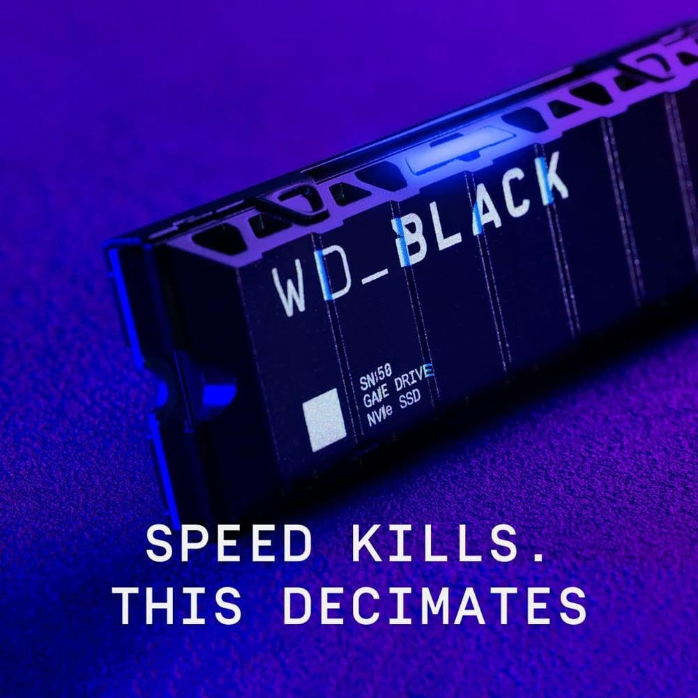 1TB NVMe M.2 2280 SSD with Heatsink P273383
