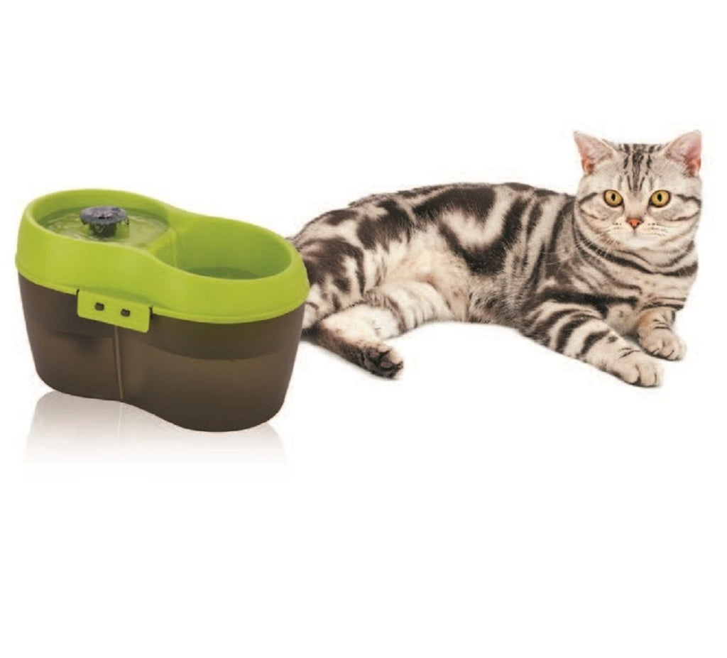 Lime Green Translucent Black 67 fl. oz Cat Water Fountain Y81483