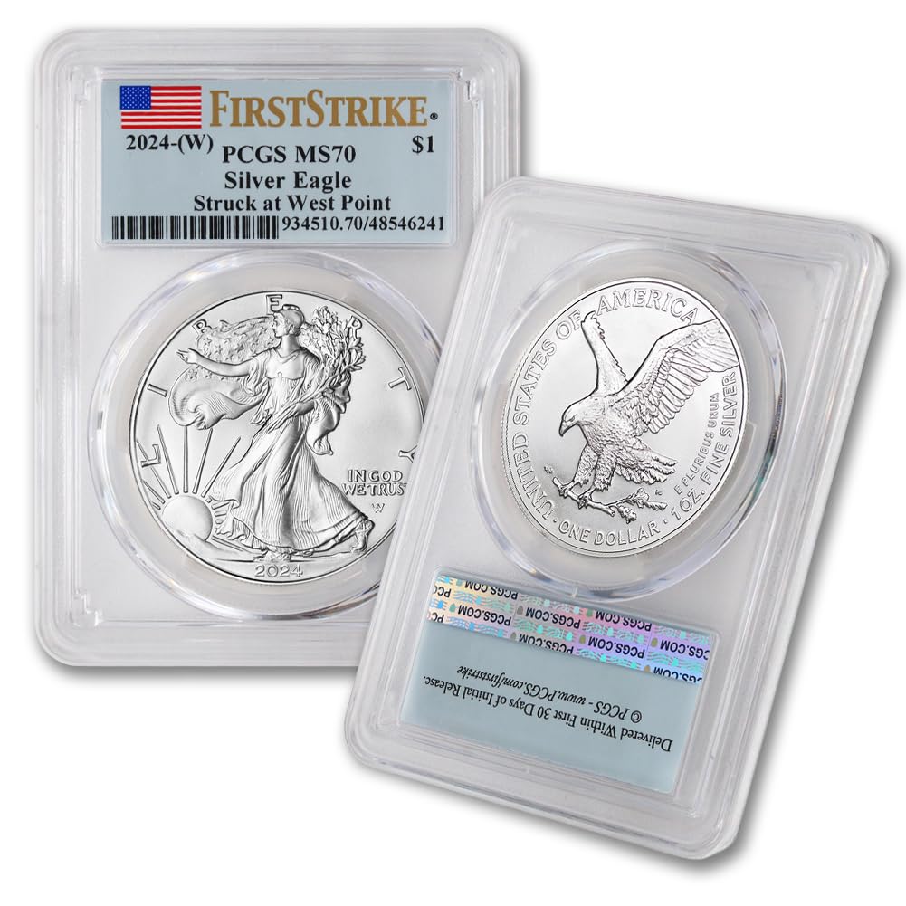 1 oz American Silver Eagle Coin MS-70 P2534