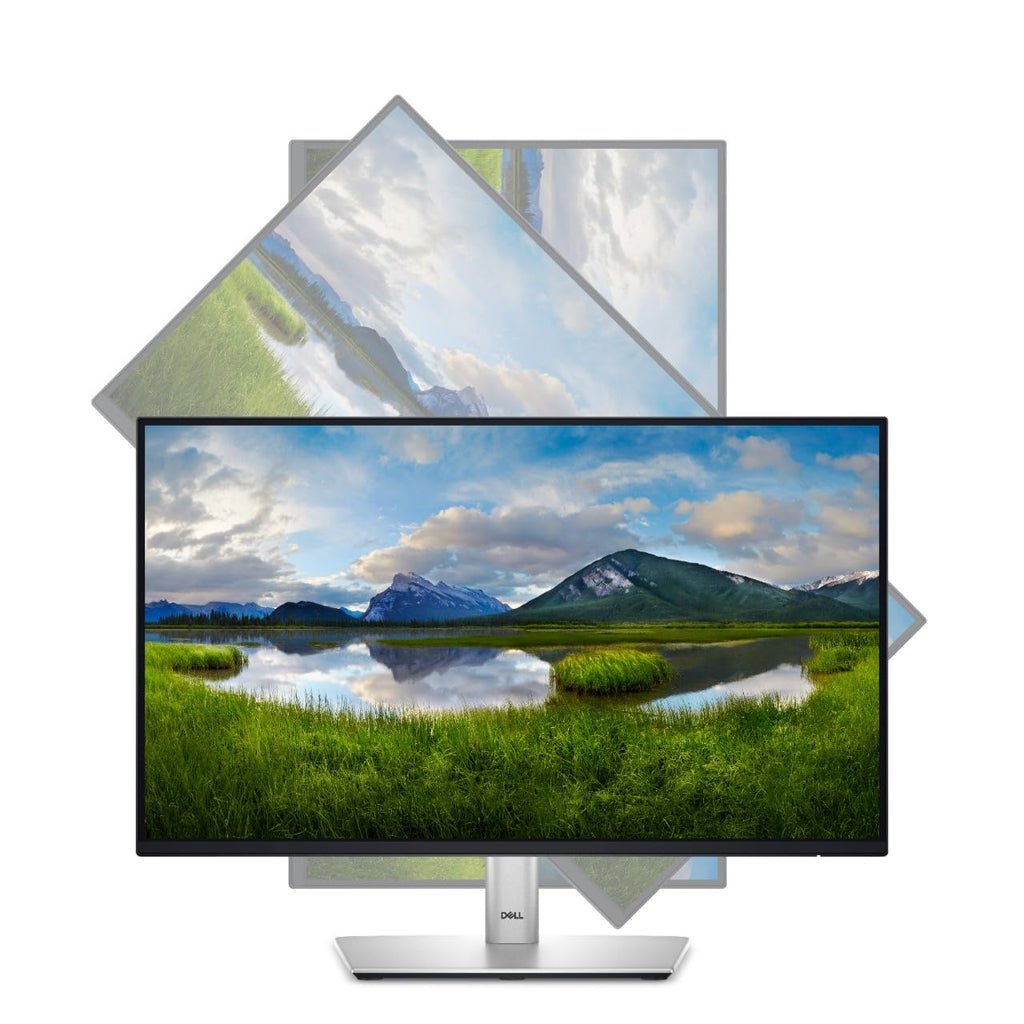 22 Monitor P621