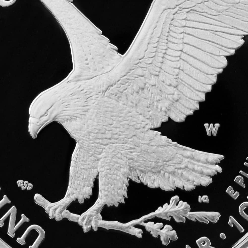 1 oz American Silver Eagle Coin V45472