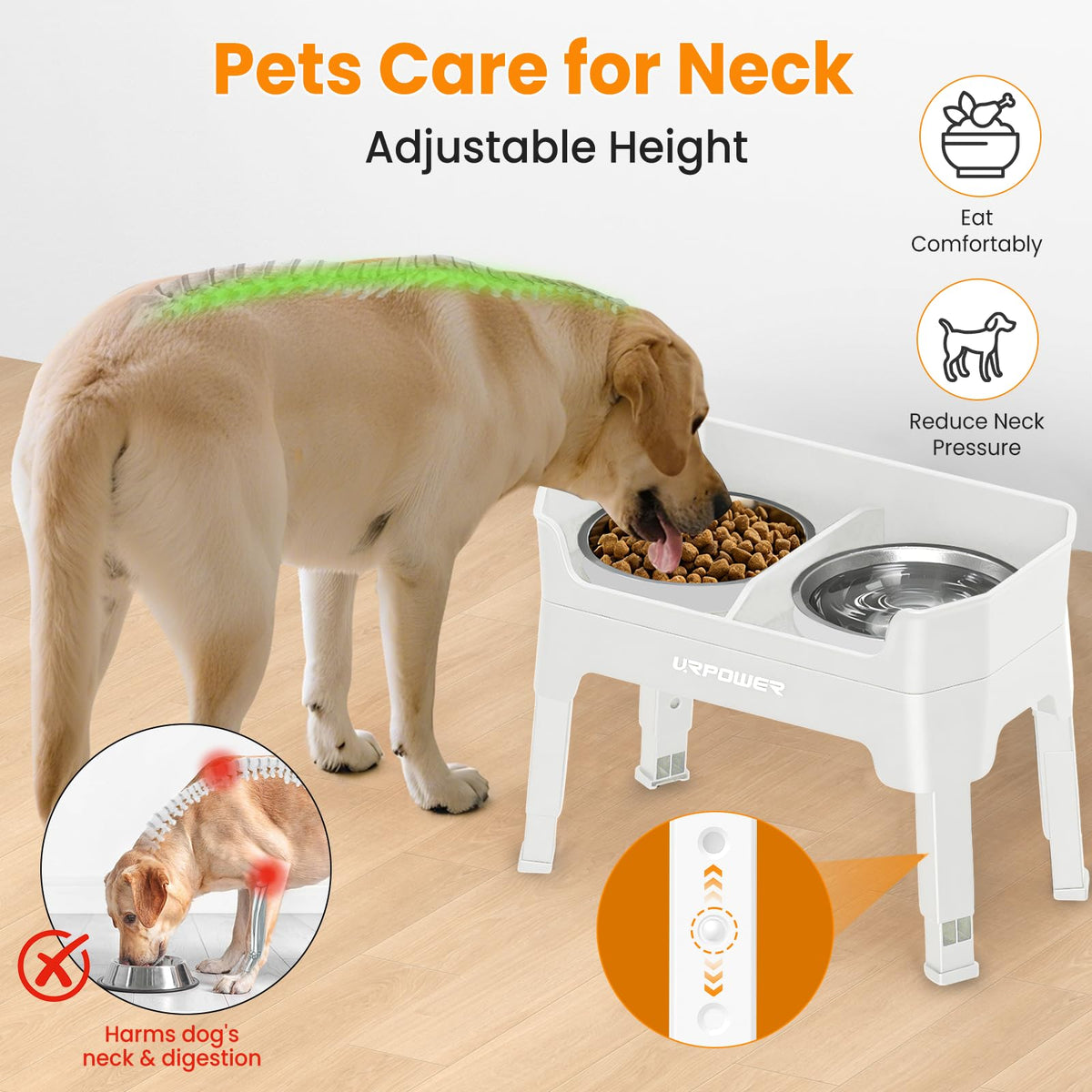 Elevated Dog Bowls X198
