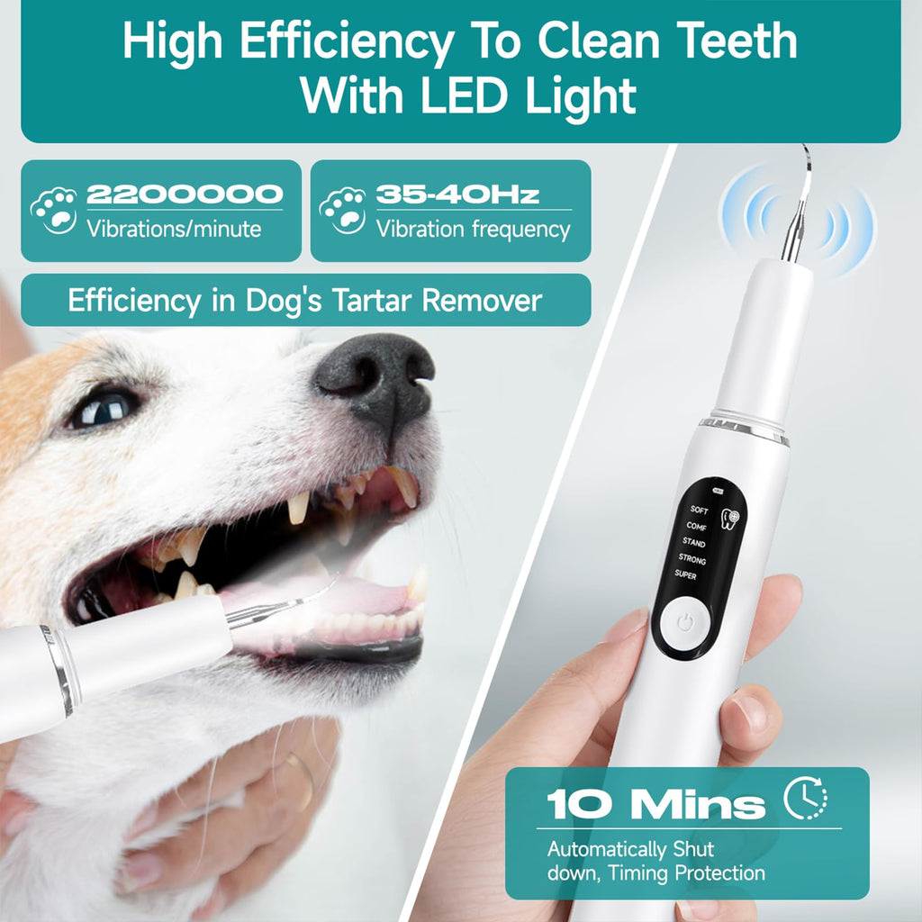 White Dog Teeth Cleaning Kit with LED Light S153054