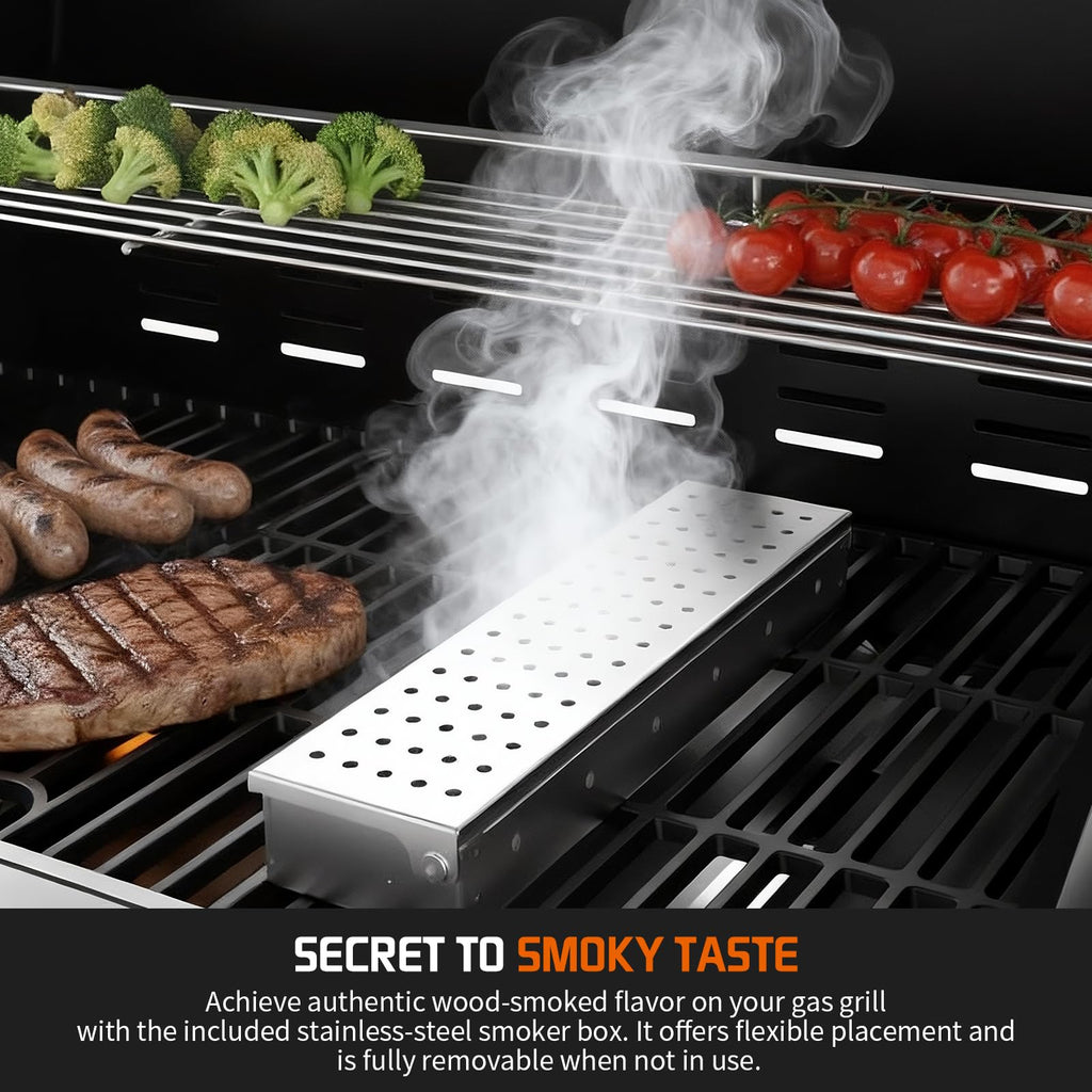 Propane Gas Grill 5+1 Stainless Steel with Side Burner D9510