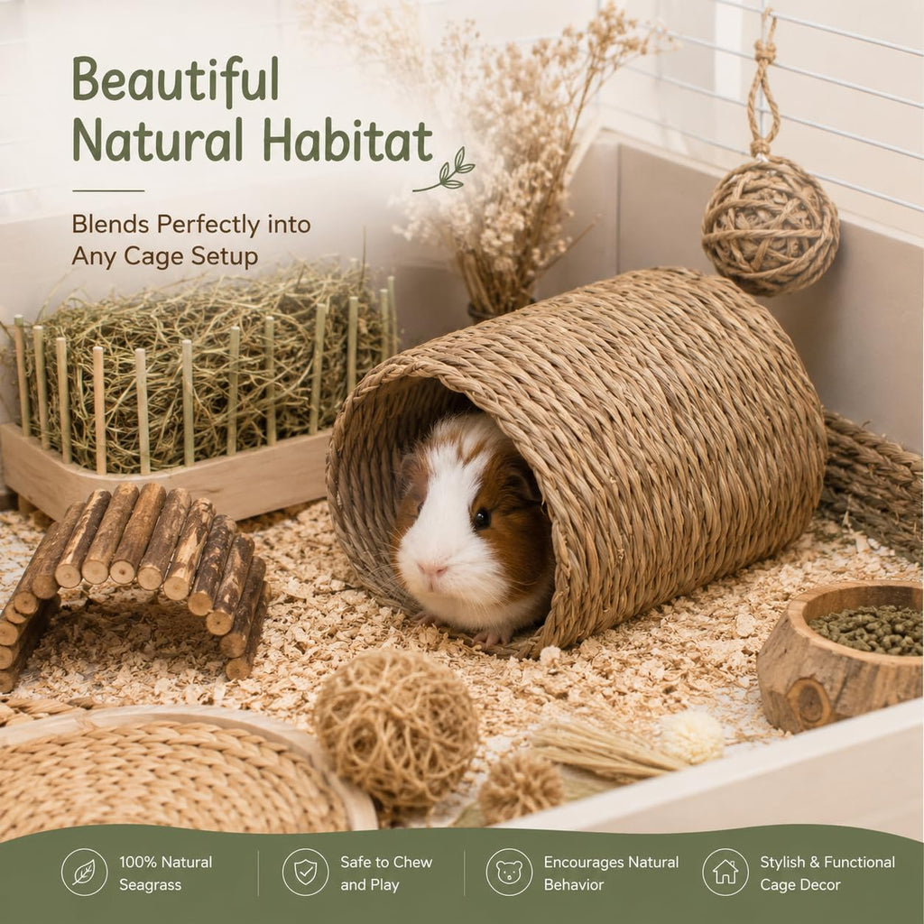 Natural Seagrass Bunny Tunnel D946674