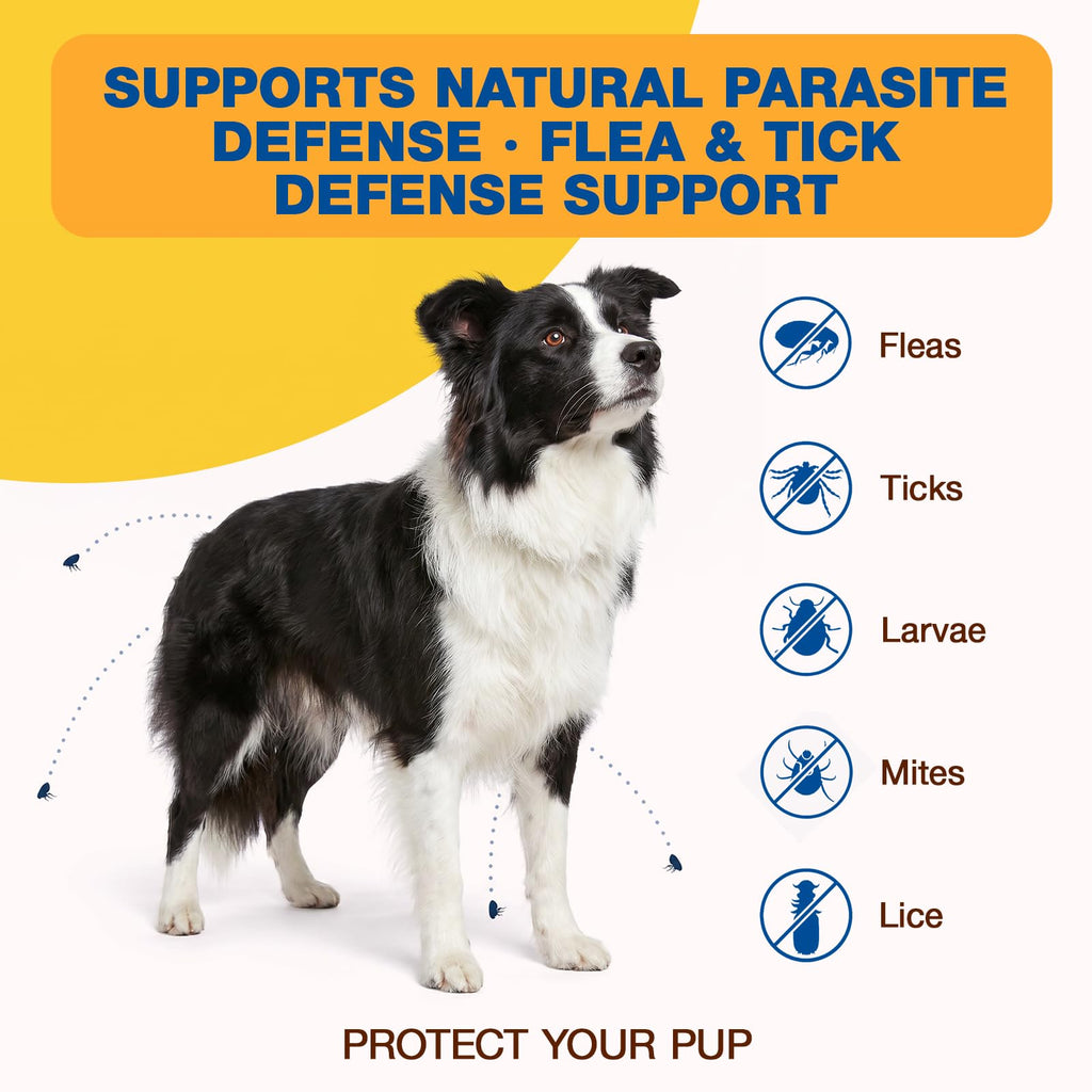 Natural Flea and Tick Chewables for Dogs, 180 Soft Chews Q80424