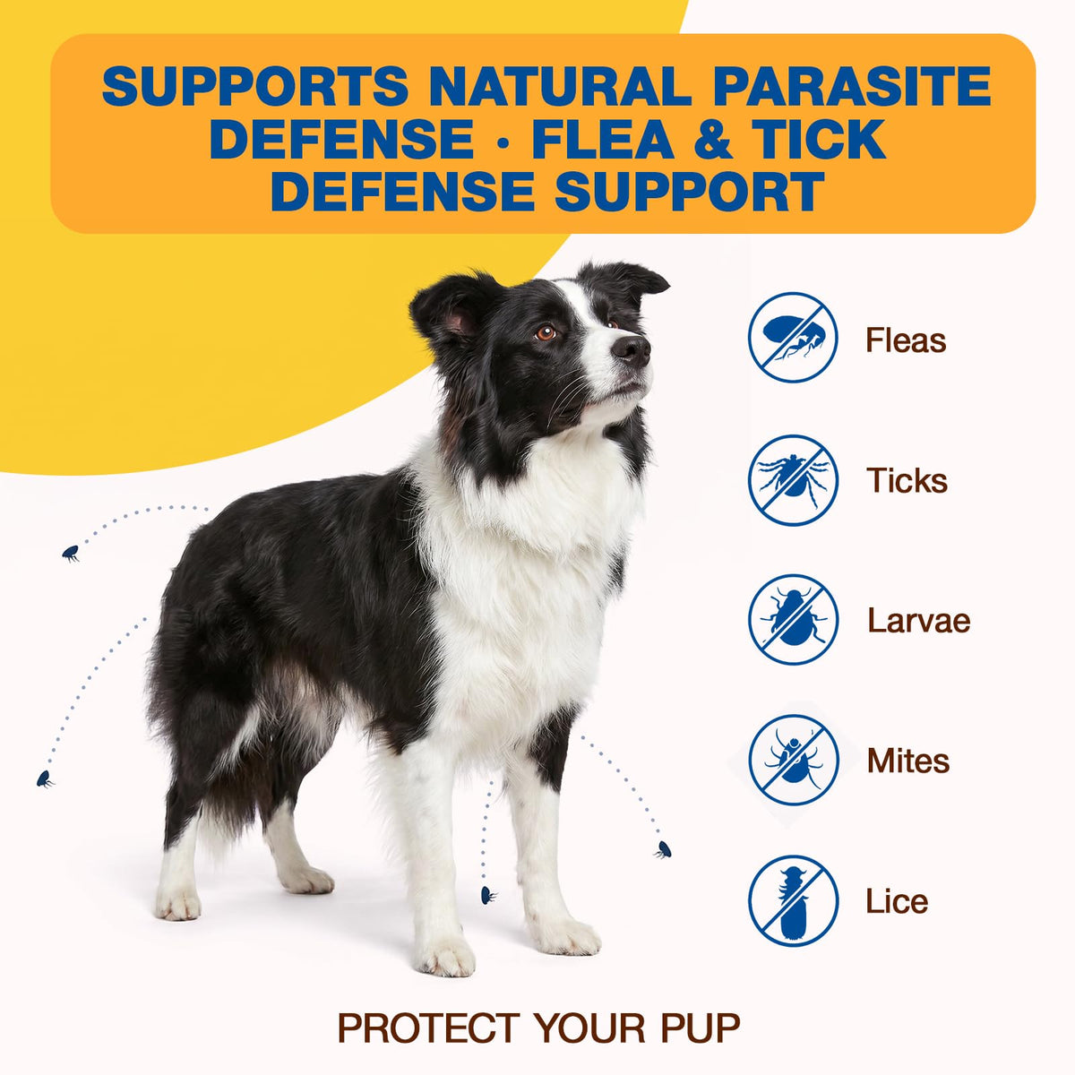 Natural Flea and Tick Chewables for Dogs, 180 Soft Chews Q80424