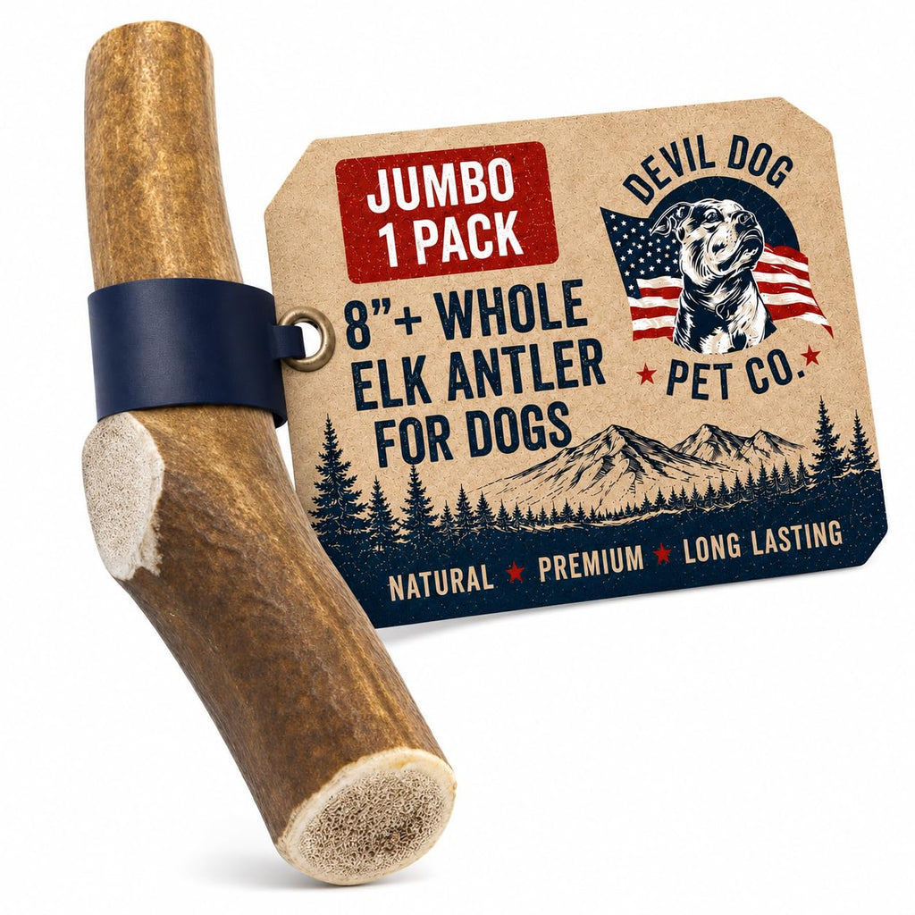 Whole Elk Antlers for Dogs Jumbo P849