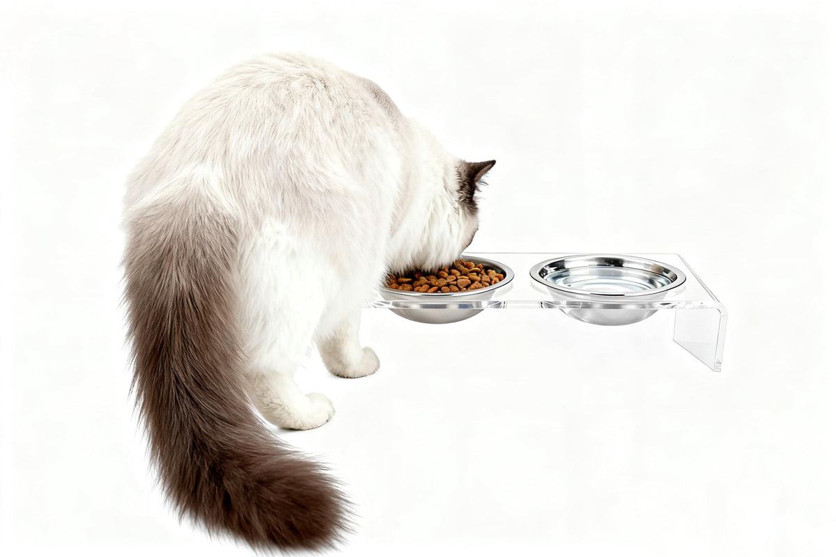 Elevated Cat & Dog Bowls Stand with 2 Stainless Steel Dishes T842040