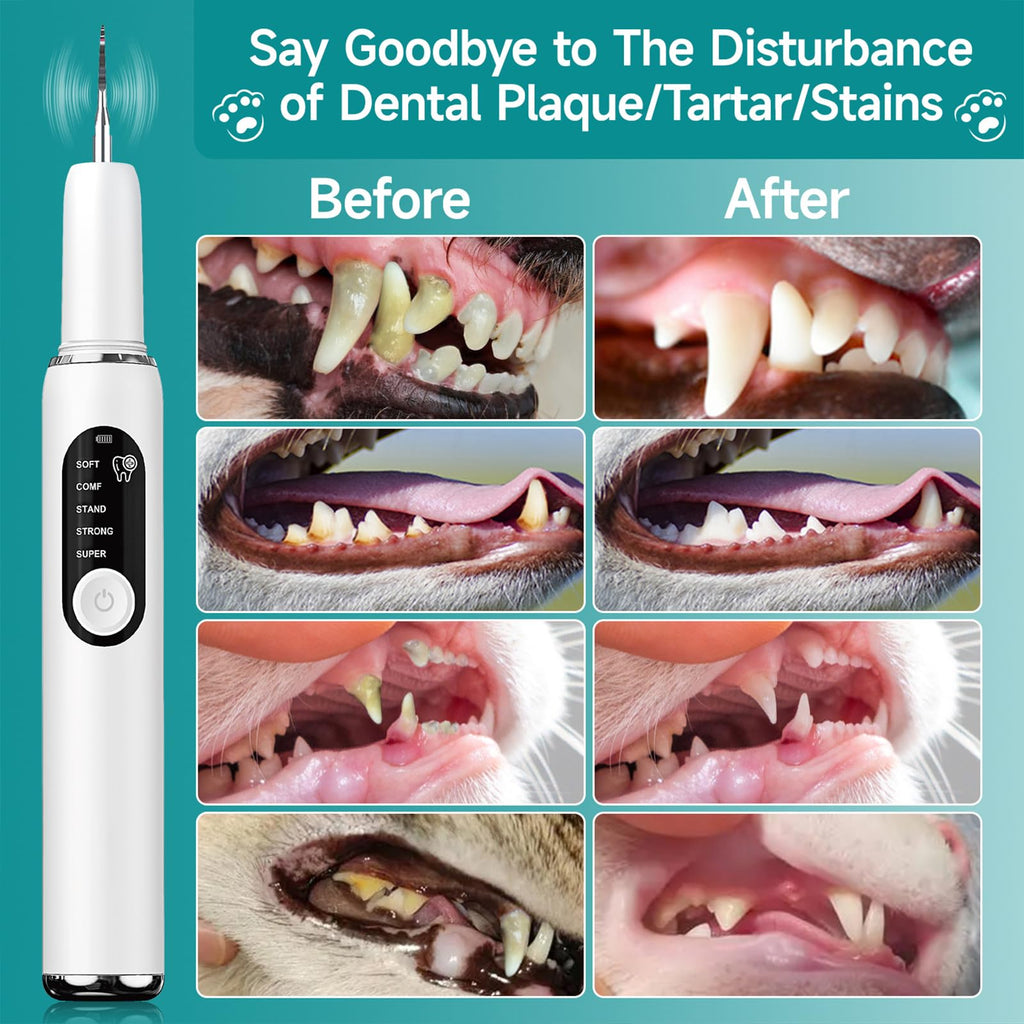 White Dog Teeth Cleaning Kit with LED Light S153054