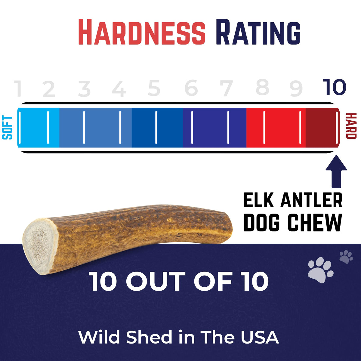 Whole Elk Antlers for Dogs Jumbo P849