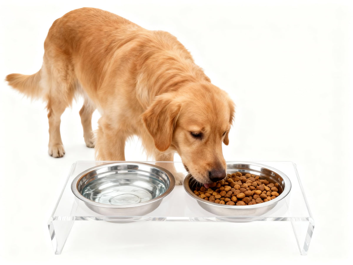 Elevated Cat & Dog Bowls Stand with 2 Stainless Steel Dishes T842040