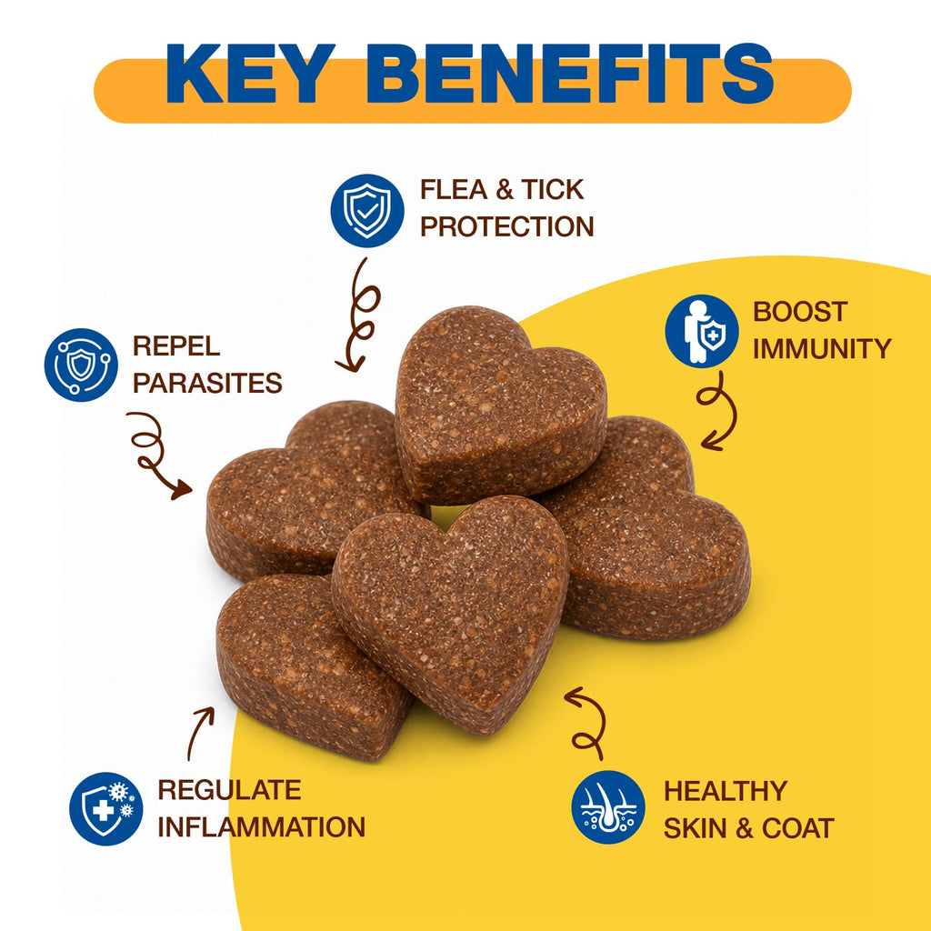Natural Flea and Tick Chewables for Dogs, 180 Soft Chews Q80424
