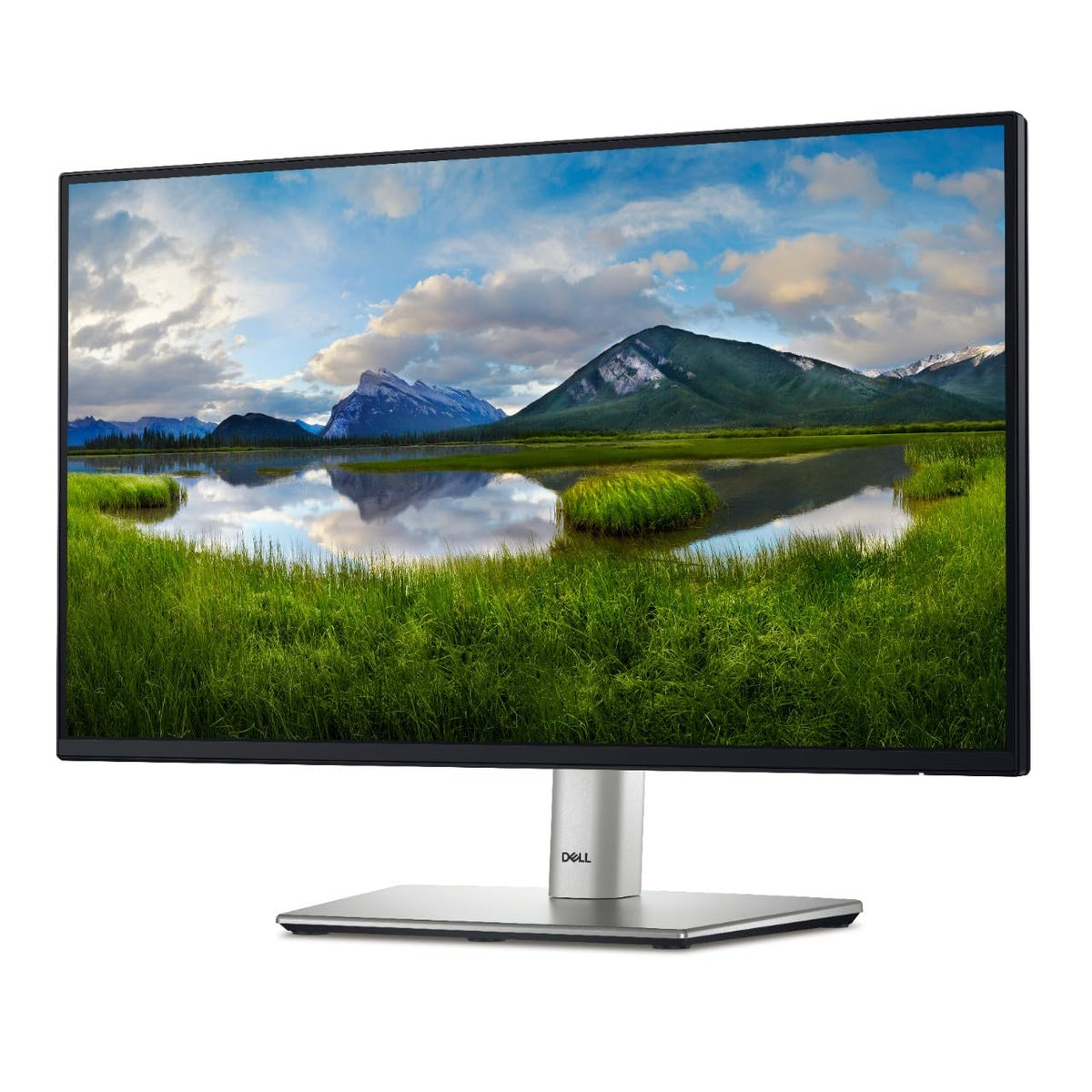 22 Monitor P621