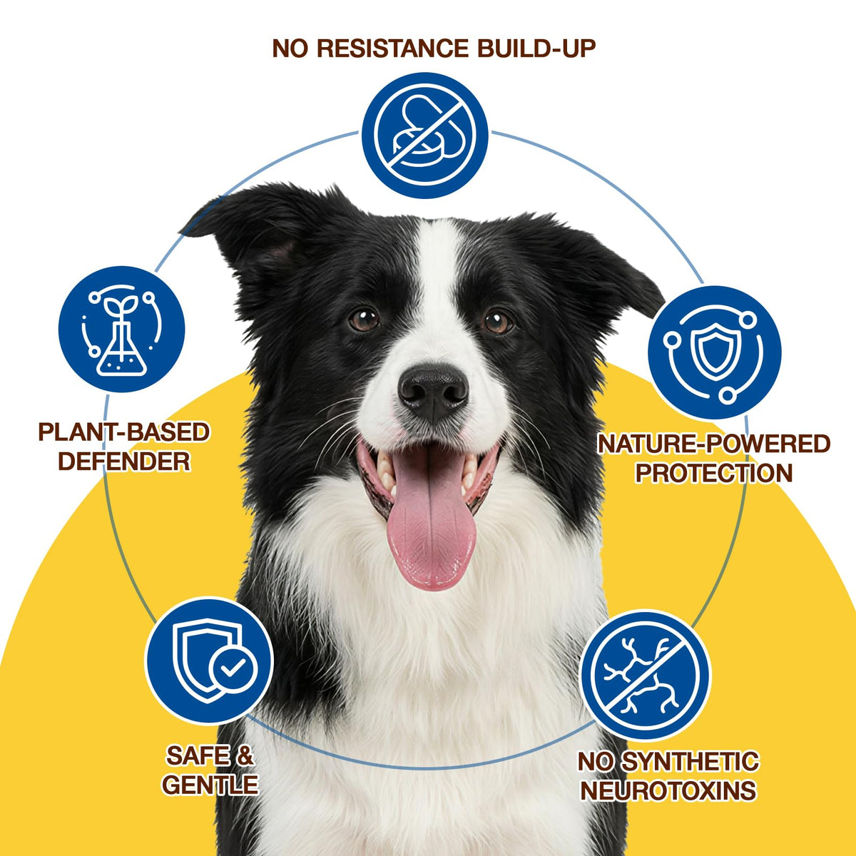 Natural Flea and Tick Chewables for Dogs, 180 Soft Chews Q80424
