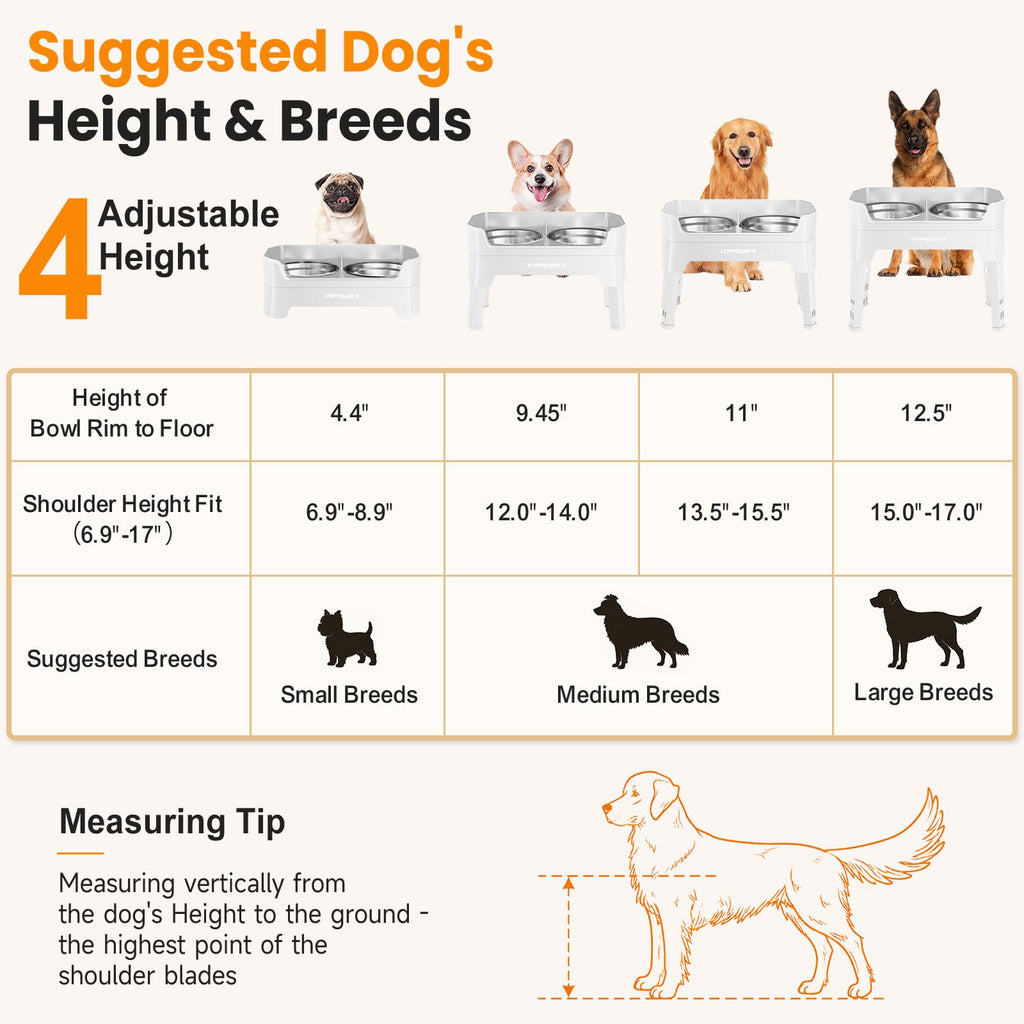 Elevated Dog Bowls X198