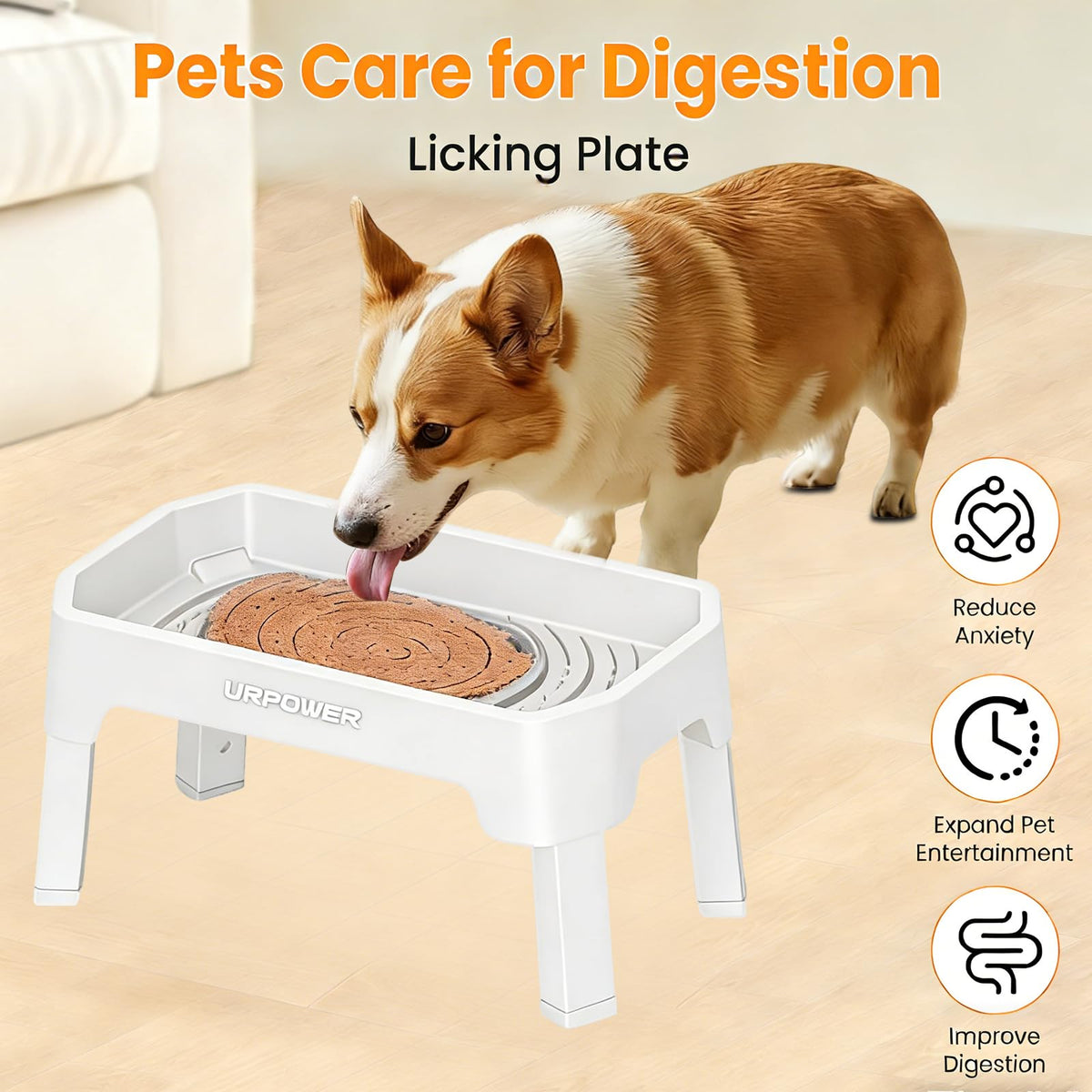 Elevated Dog Bowls X198