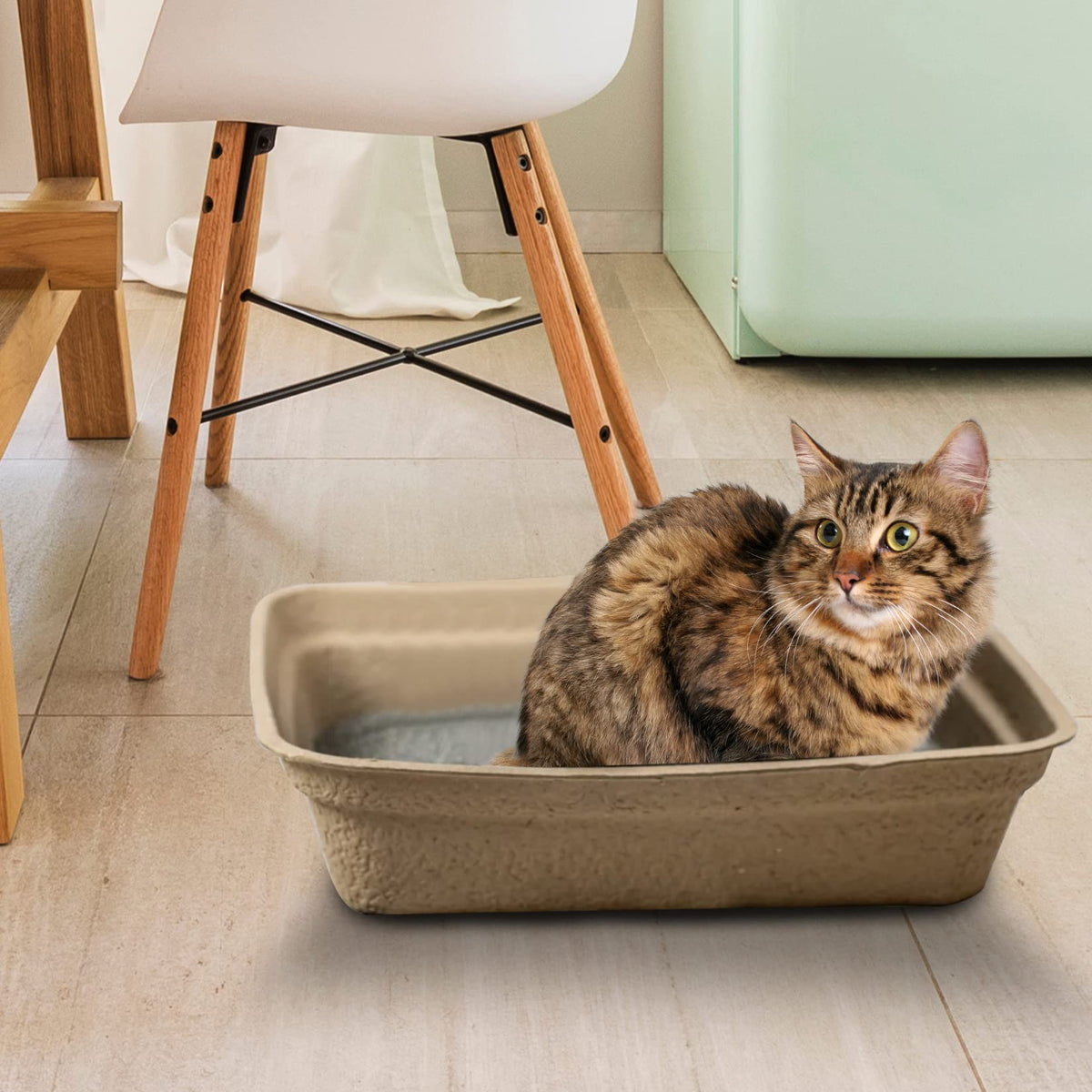 Disposable Litter Boxes Brown Large 6-Pack M3196