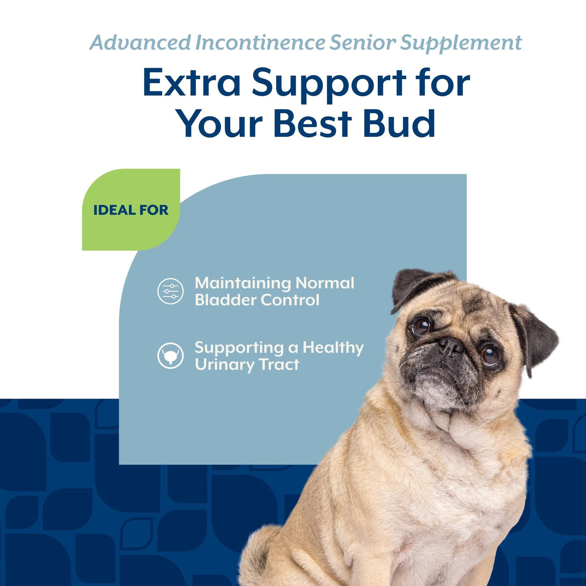 Senior Incontinence Dog Supplement 60 Ct J9842