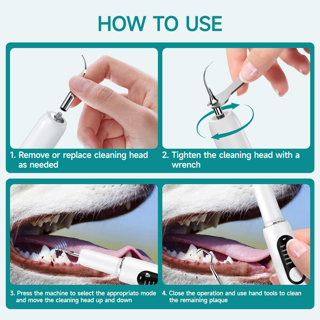 White Dog Teeth Cleaning Kit with LED Light S153054