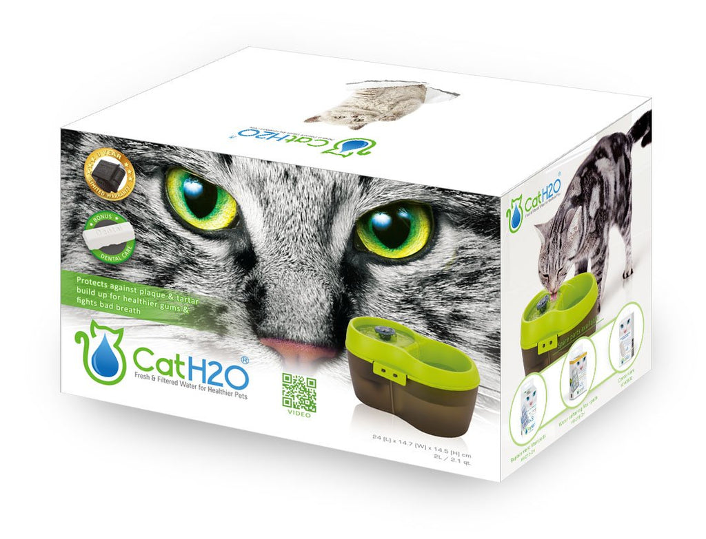 Lime Green Translucent Black 67 fl. oz Cat Water Fountain Y81483