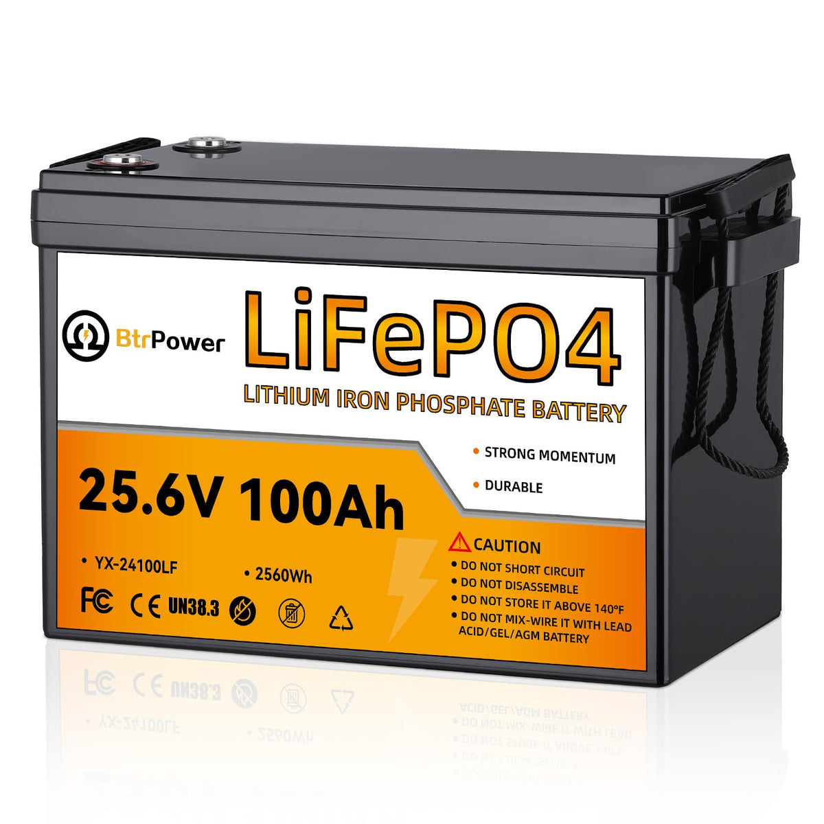 24V 100Ah Deep Cycle LiFePO4 Battery H169160
