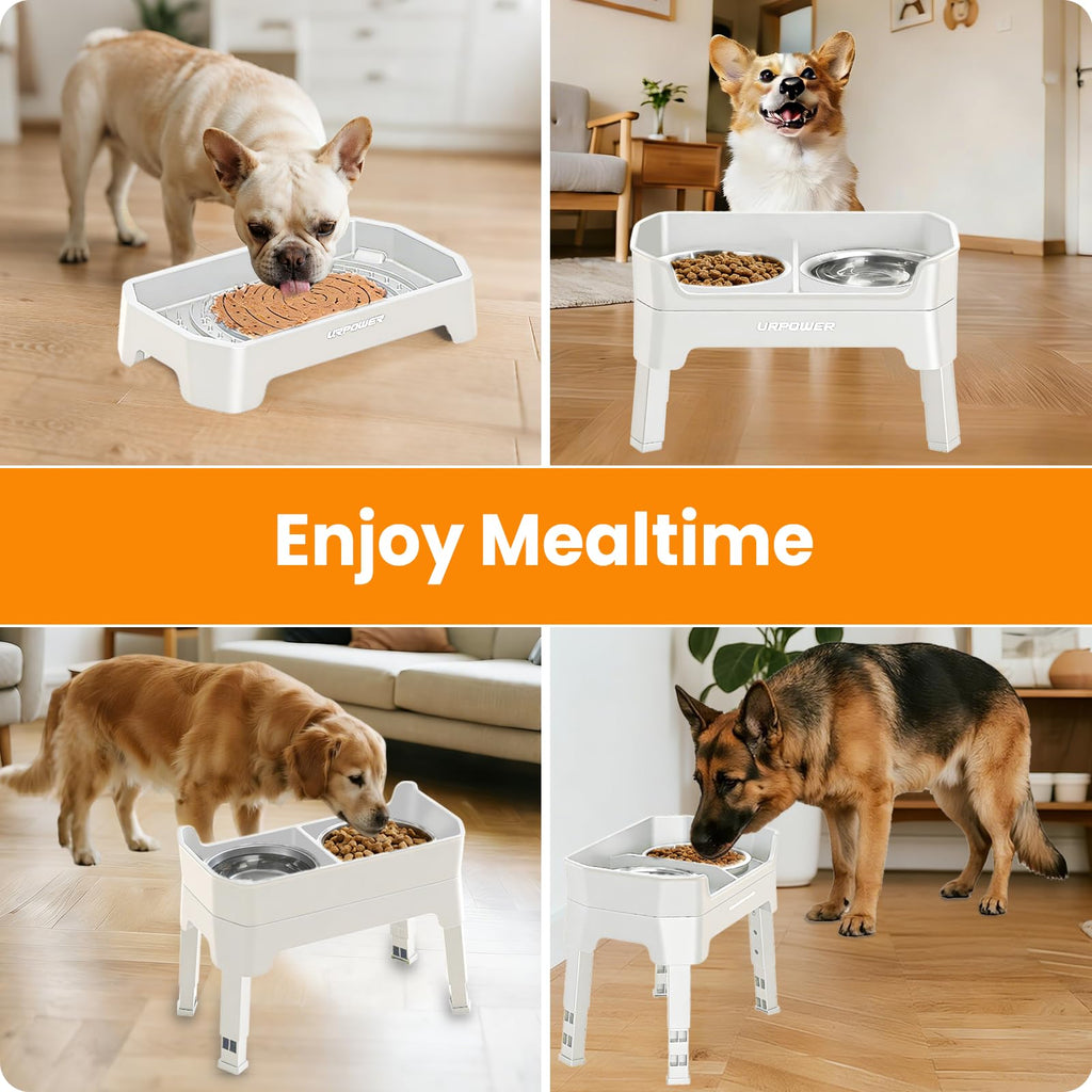 Elevated Dog Bowls X198
