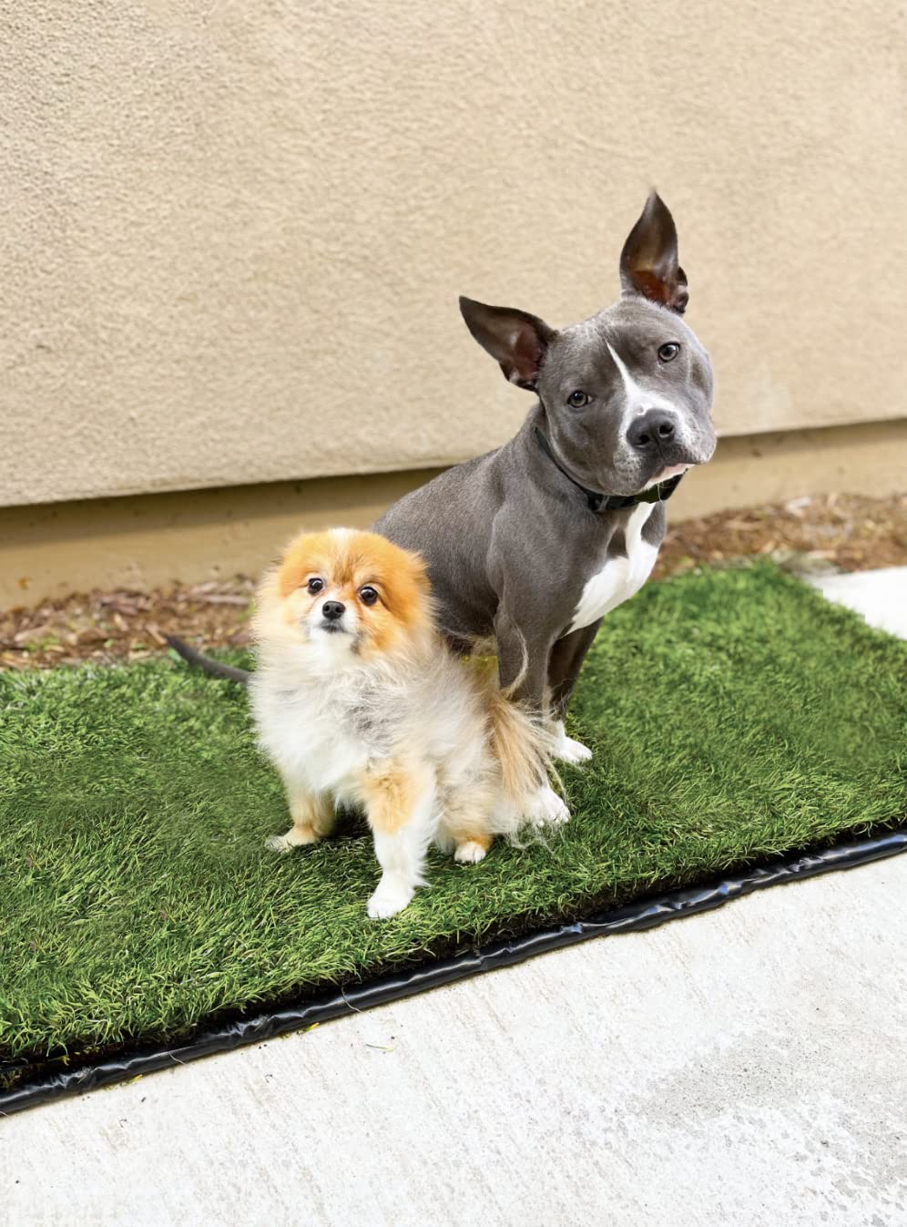 Washable Reusable Leakproof Dog Pee Pad 26.75 in x 51.5 in M844