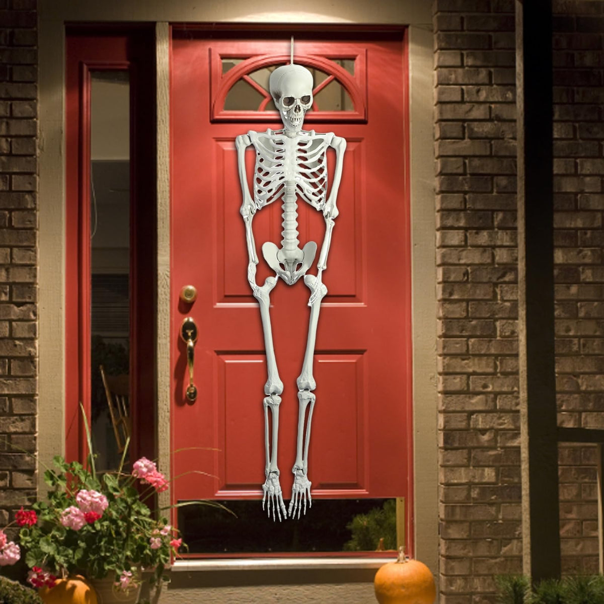 5.4Ft Posable Plastic Skeleton with Movable Joints W949