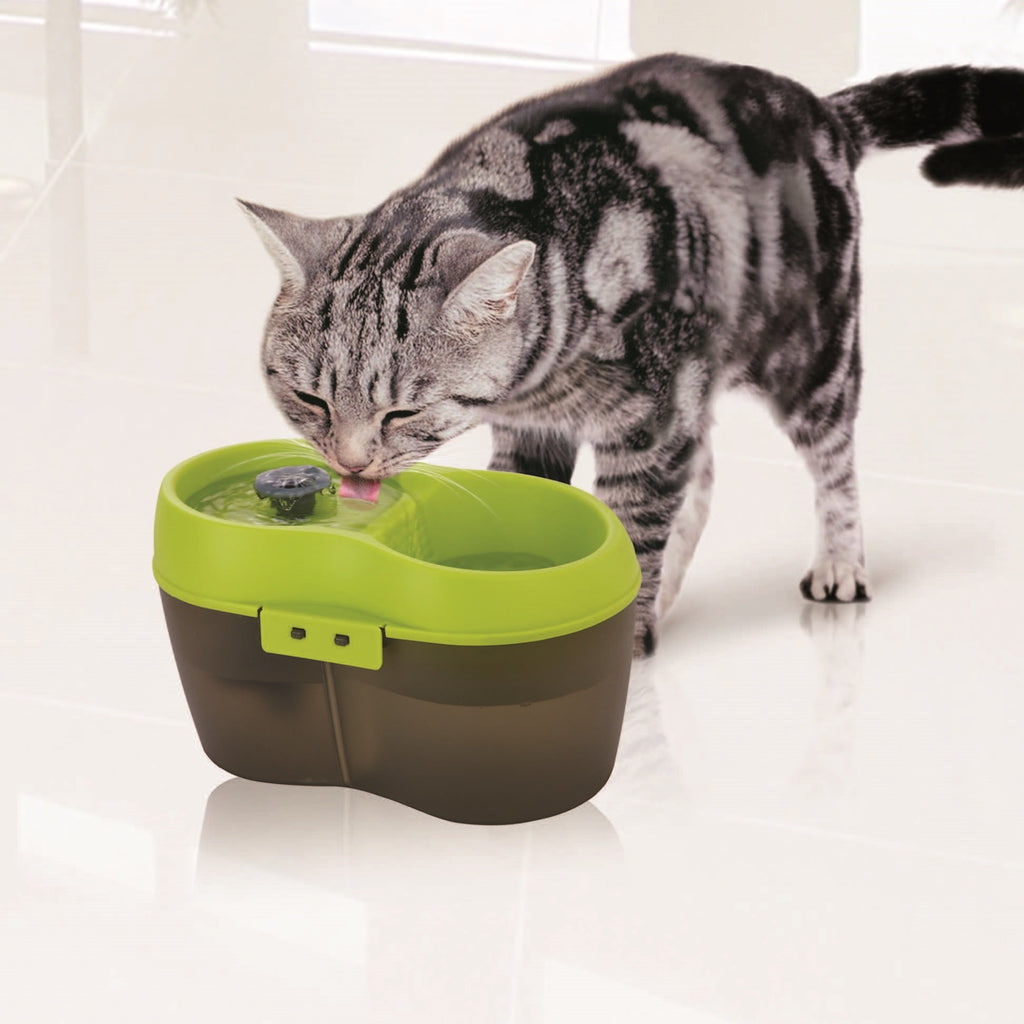 Lime Green Translucent Black 67 fl. oz Cat Water Fountain Y81483