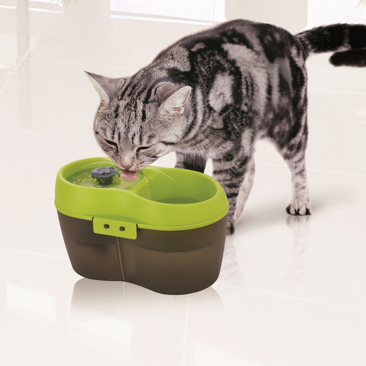 Lime Green Translucent Black 67 fl. oz Cat Water Fountain Y81483