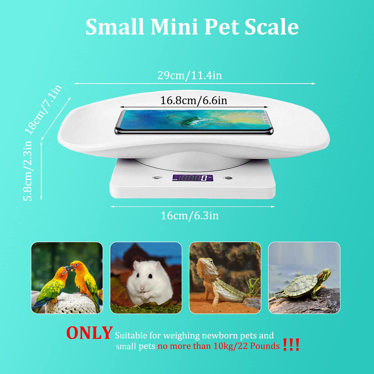 Digital Mini Pet Scale with Tray B48954