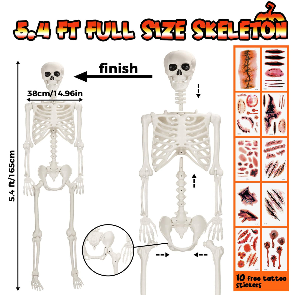 Life Size Poseable Skeleton P91240