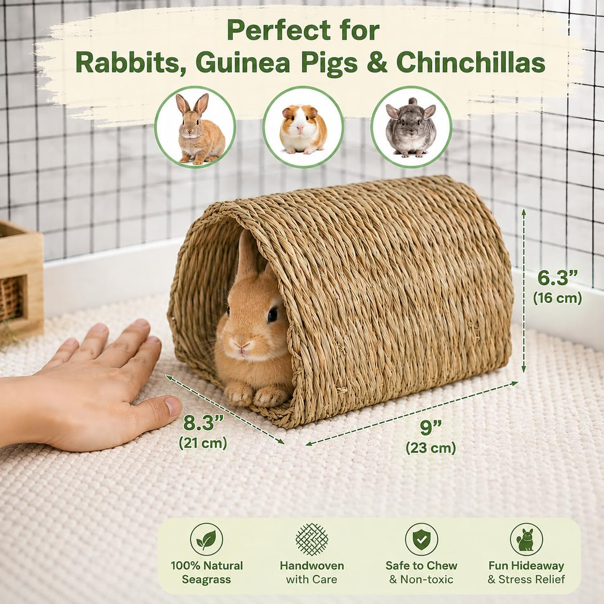Natural Seagrass Bunny Tunnel D946674