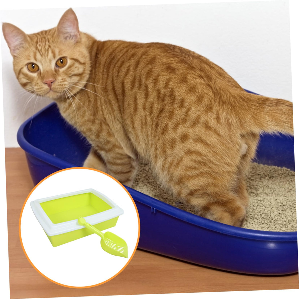 Sifting Cat Litter Box with Frame Z794100