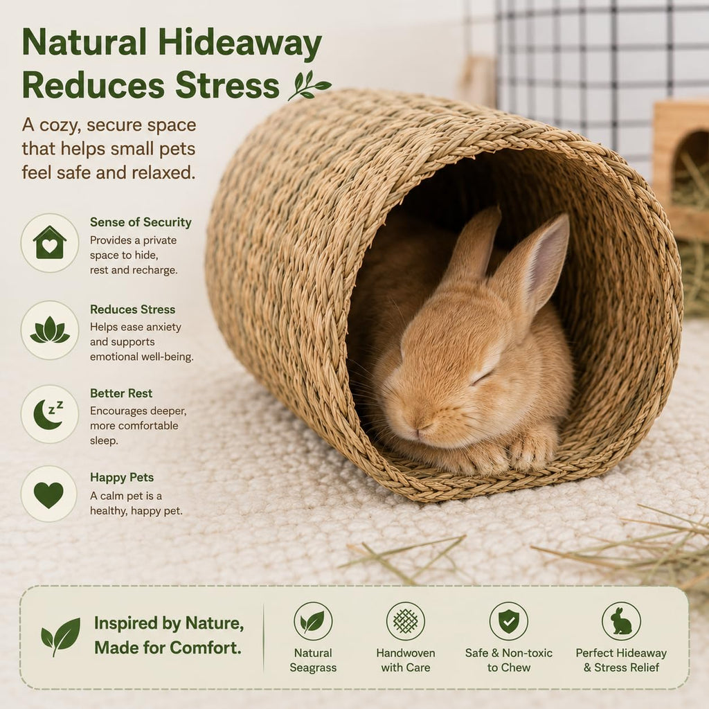 Natural Seagrass Bunny Tunnel D946674