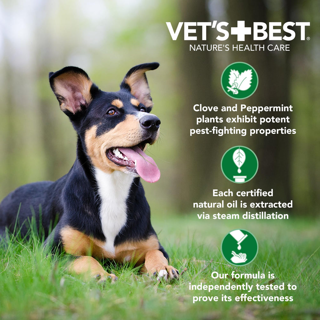 Flea & Tick Shampoo for Dogs 16 oz U324242