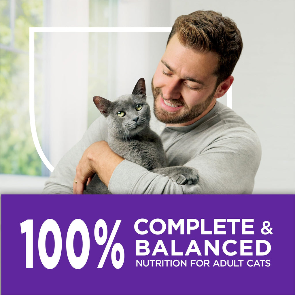 Sensitive Stomach & Skin Dry Cat Food 13 lb Bag J61245