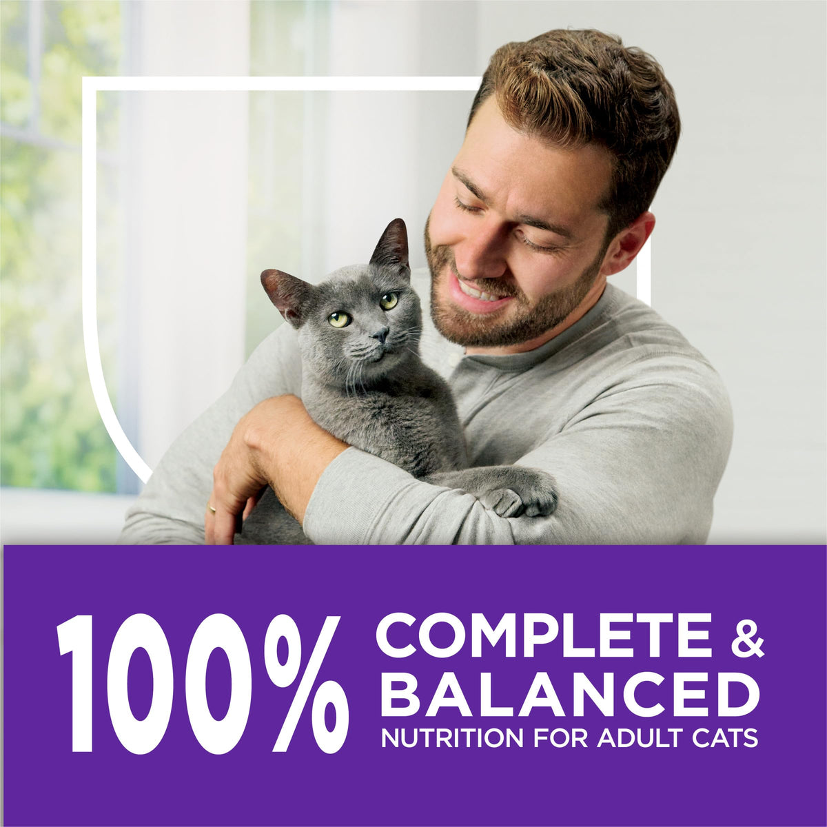Sensitive Stomach & Skin Dry Cat Food 13 lb Bag J61245