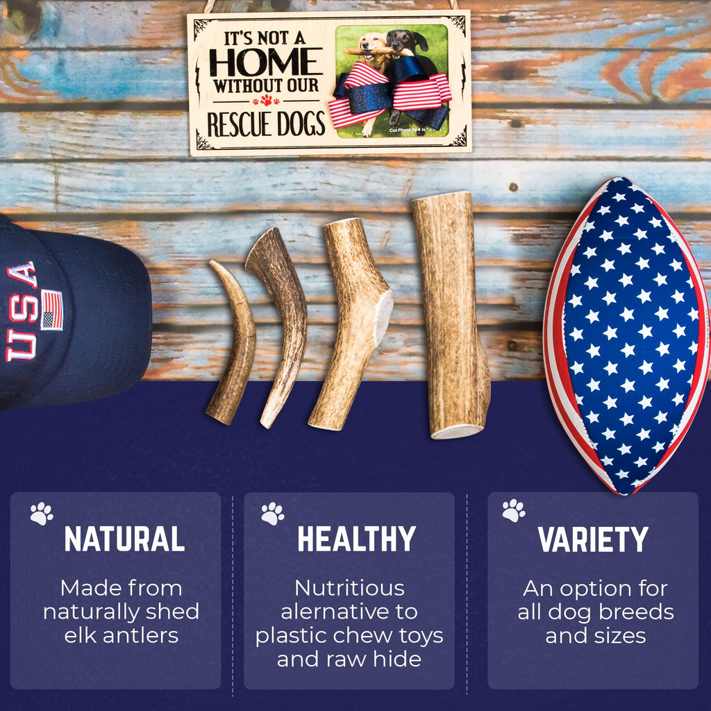 Whole Elk Antlers for Dogs Jumbo P849