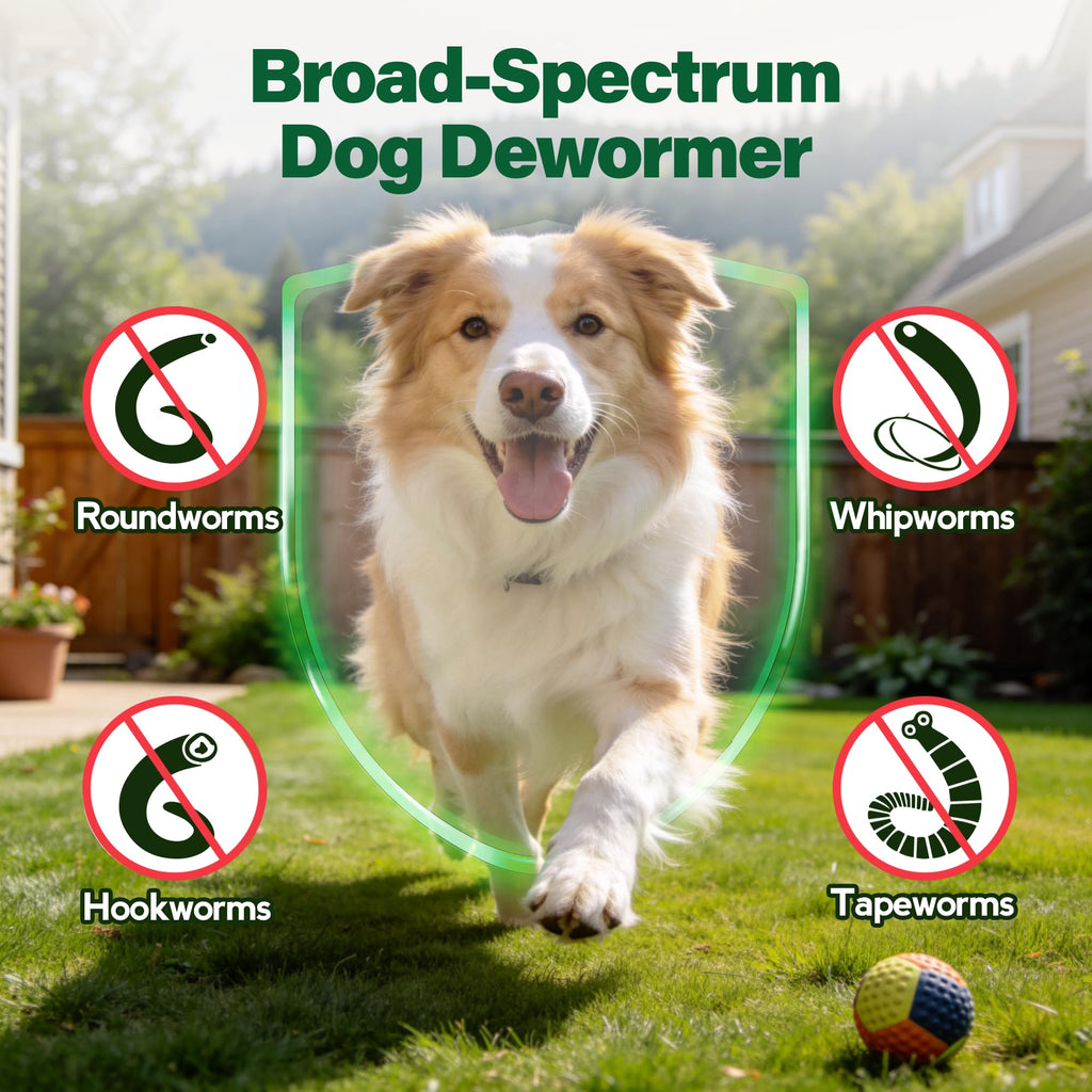 Dewormer for Dogs 50 g S145
