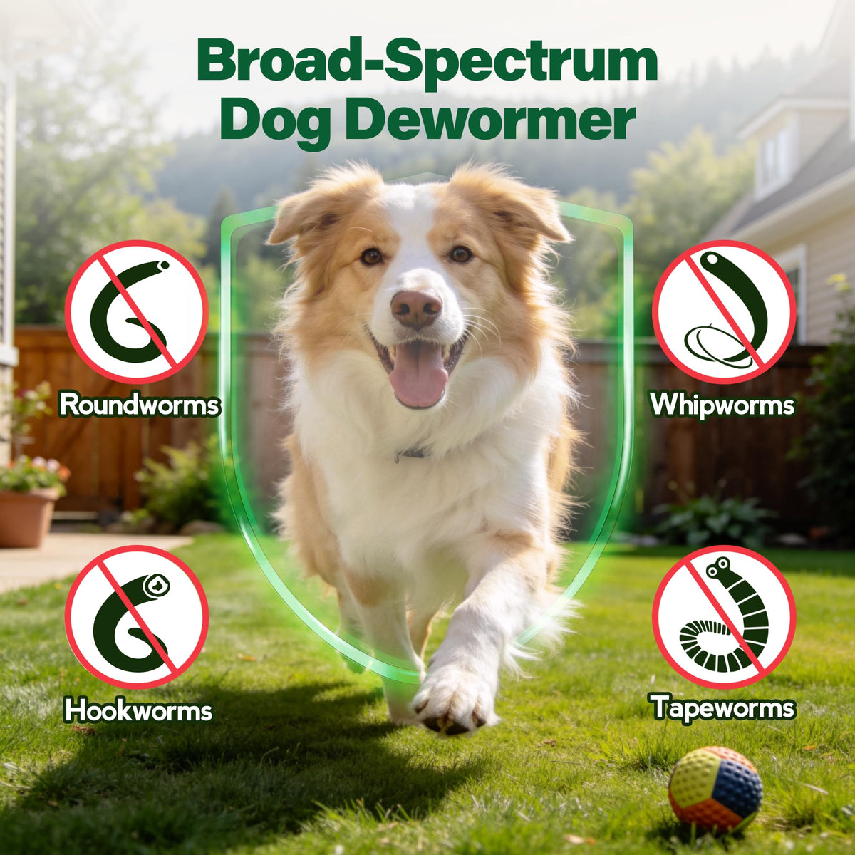 Dewormer for Dogs 50 g S145