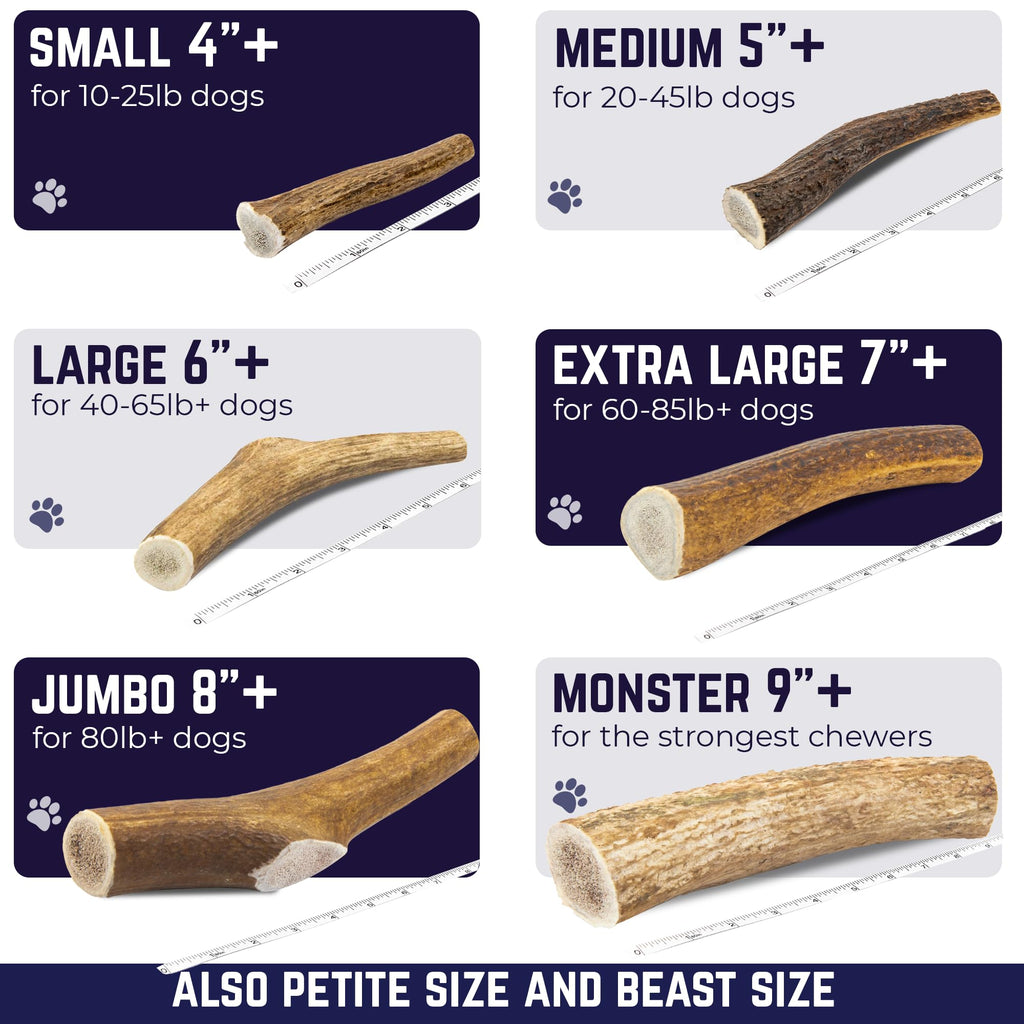 Whole Elk Antlers for Dogs Jumbo P849