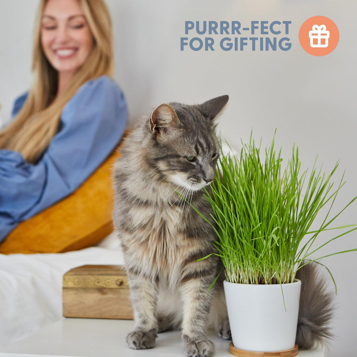 Organic Cat Grass Growing Kit with Seed, Soil and Two Ceramic Planters M639