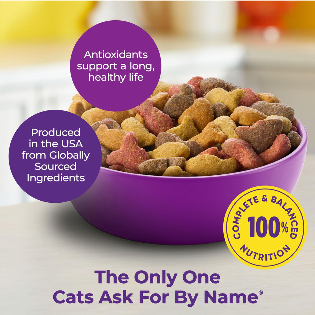 Dry Cat Food 6.3 Pound Bag + Wet Cat Food Variety Pack 2.75 Ounce Cups (Pack of 24) R205