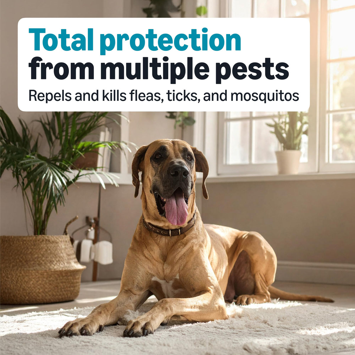 Flea, Tick & Mosquito Topical Treatment for X-Large Dogs, 6 Count I502